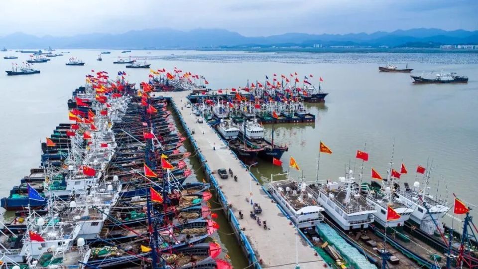 TPjQv, inews, src TPjQv, inews, src