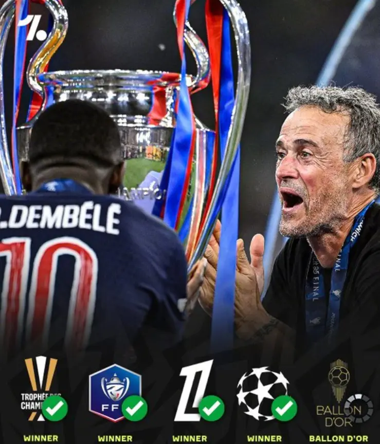 tenan, 从德甲到西