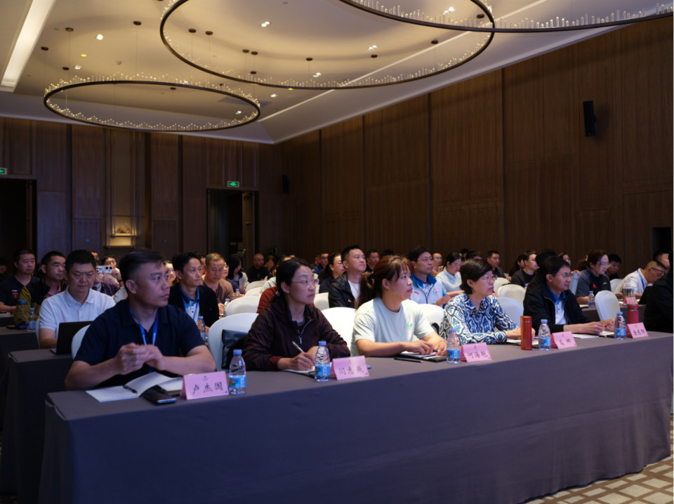 组织骨干力 组织骨干力